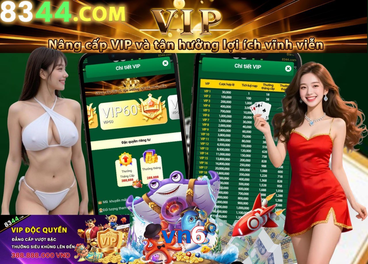 vn6